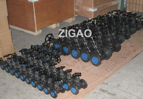 Forged Steel Gate Valve