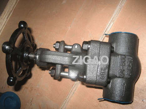 Forged Steel Globe Valve