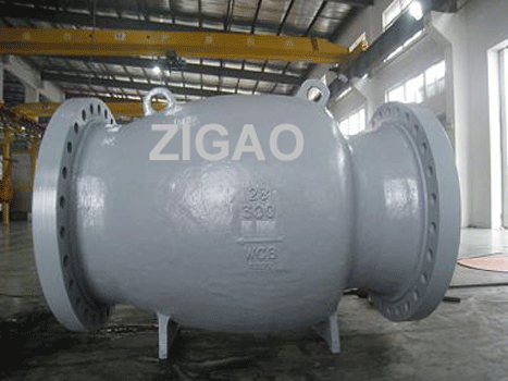 Axial Flow Check Valve